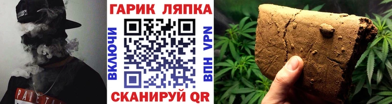 ГАШ Изолятор  Электрогорск 