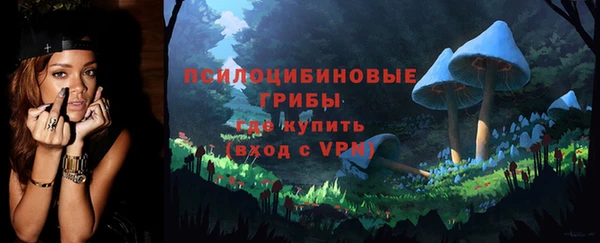 ГАЛЛЮЦИНОГЕННЫЕ ГРИБЫ Володарск