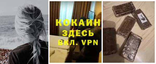 стаф Волосово