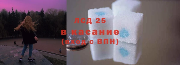 стаф Волосово