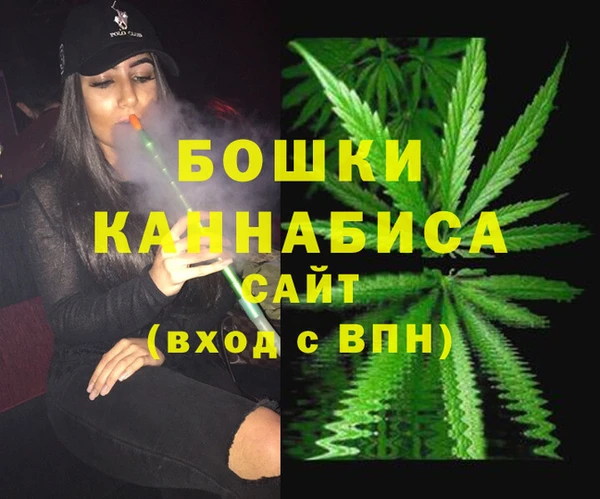 стаф Волосово