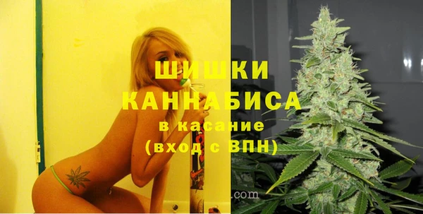 стаф Волосово