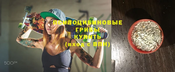 ГАЛЛЮЦИНОГЕННЫЕ ГРИБЫ Володарск