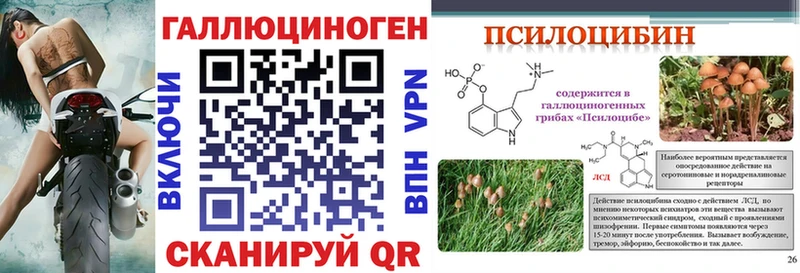 Псилоцибиновые грибы ЛСД  Электрогорск 